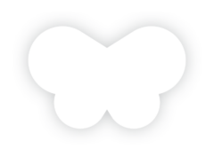 schmetterling schmetterling